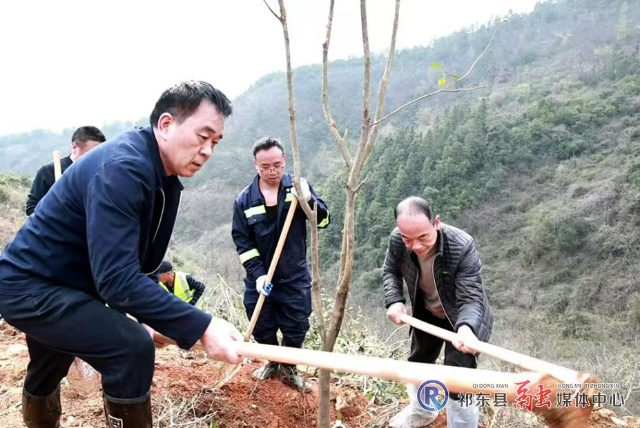 微信图片_20250312102000.jpg