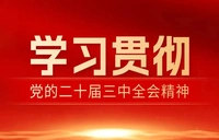 学习贯彻党的二十届三中全会精神