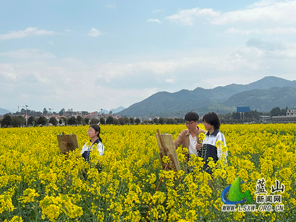 笔绘金黄，艺绽春日：博爱学校美术生油菜花田写生之旅.jpg