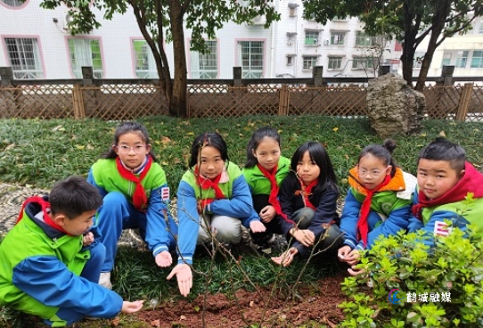 微信截图_20250312152801.png