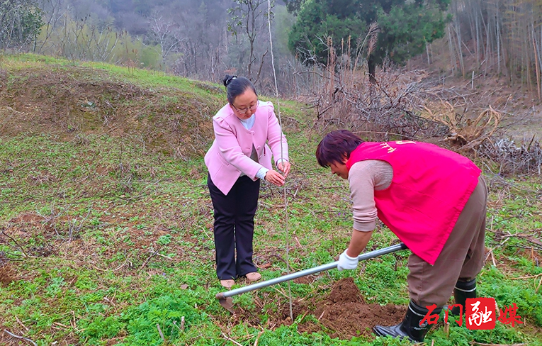 楚江街道红土社区：开展“植此青绿·共树未来”主题活动1.jpg