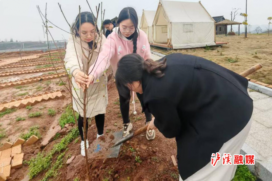 洗溪镇植树节.jpg1.jpg