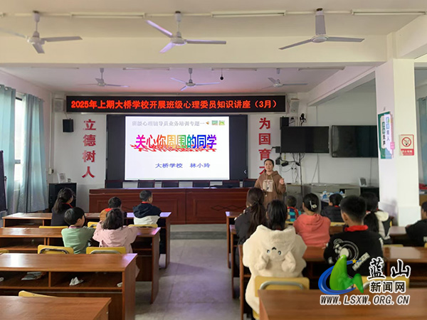 蓝山县大桥学校开展班级心理委员知识讲座.jpg