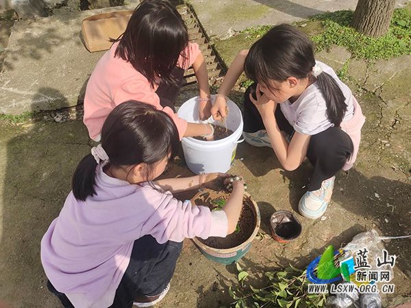 犁头瑶族乡中心小学开展植树节绿化校园活动.jpg