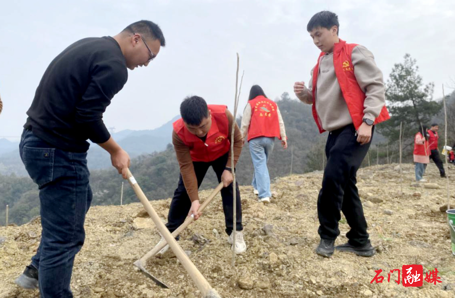 子良镇：携手行动不负春 植树添绿靓家园1.jpg