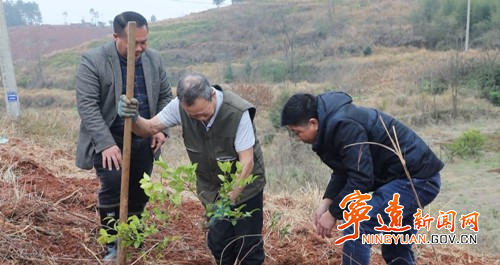 宁远：抢抓时节 种下“绿色银行”_副本500.jpg