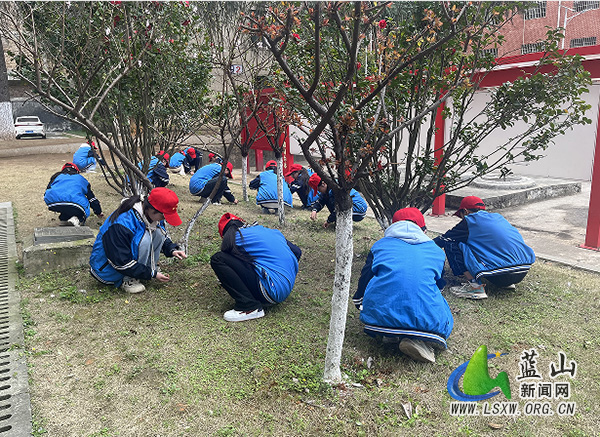 塔峰中学开展“手除杂草焕新绿”活动.jpg 塔峰中学开展“手除杂草焕新绿”活动.jpg