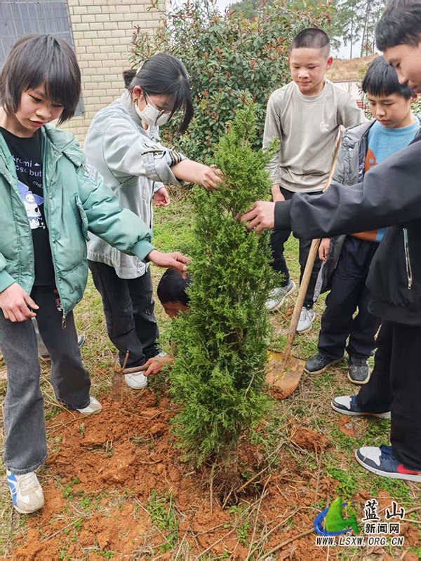 总市学校：“暖阳”春日，共“植”美好.jpg