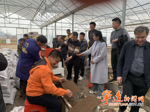 宁远县农业农村局：科技特派员深入一线 为乡村振兴插上科技翅膀_副本500.jpg