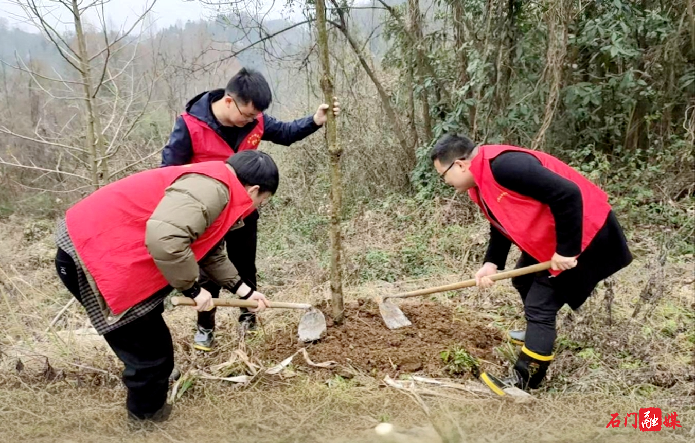 壶瓶山镇：“红装添新绿”，开展义务植树活动2.jpg