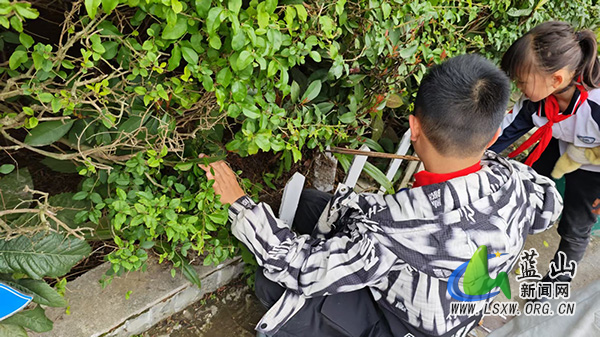 城北湘威学校开展“争做绿色小护卫”植树节活动.jpg