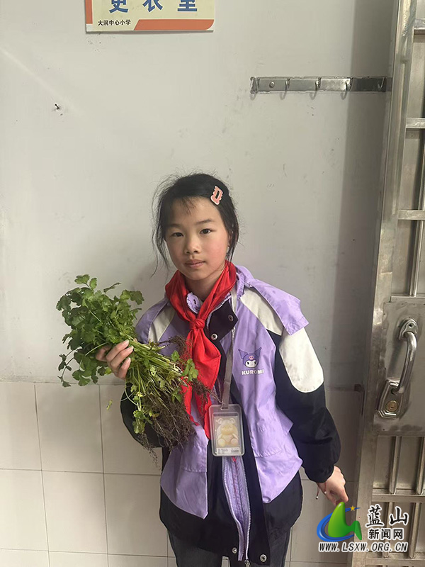 大洞中心小学开展劳动实践活动.jpg