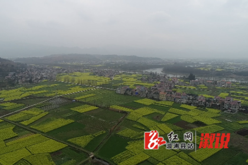 84696f24-613f-45dd-a375-063ed5d312db.png