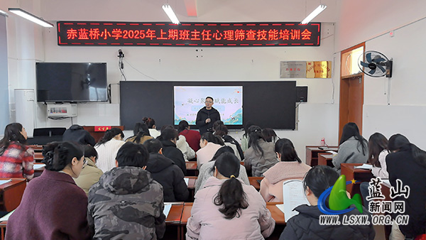 赤蓝桥小学召开班主任心理筛查技能培训会.jpg