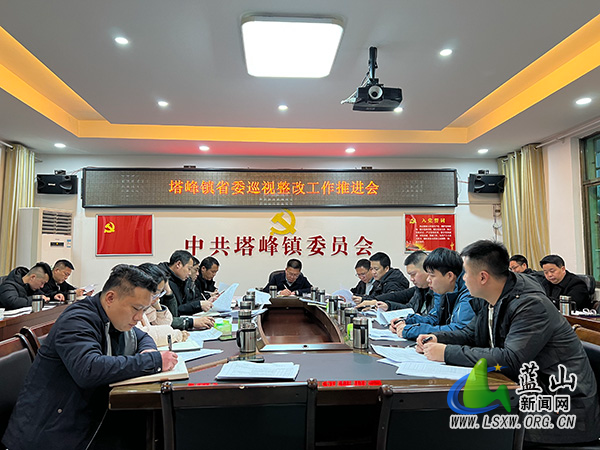 塔峰镇纪委开展“以巡促改”专题培训.jpg