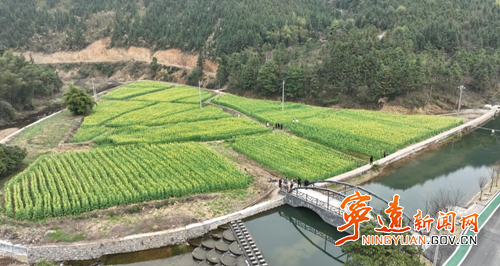【九嶷山景区奋力冲刺AAAAA】宁远水市镇：文旅融合结硕果 激活乡村振兴“新引擎”_副本500.png