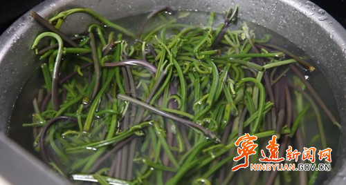 宁远：蕨菜 春日里的限定美味2_副本500.jpg