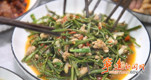 宁远：蕨菜 春日里的限定美味3_副本500.jpg