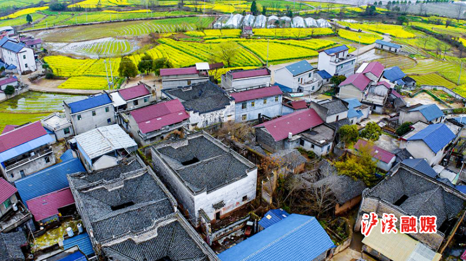 青草.jpg1.jpg6.jpg