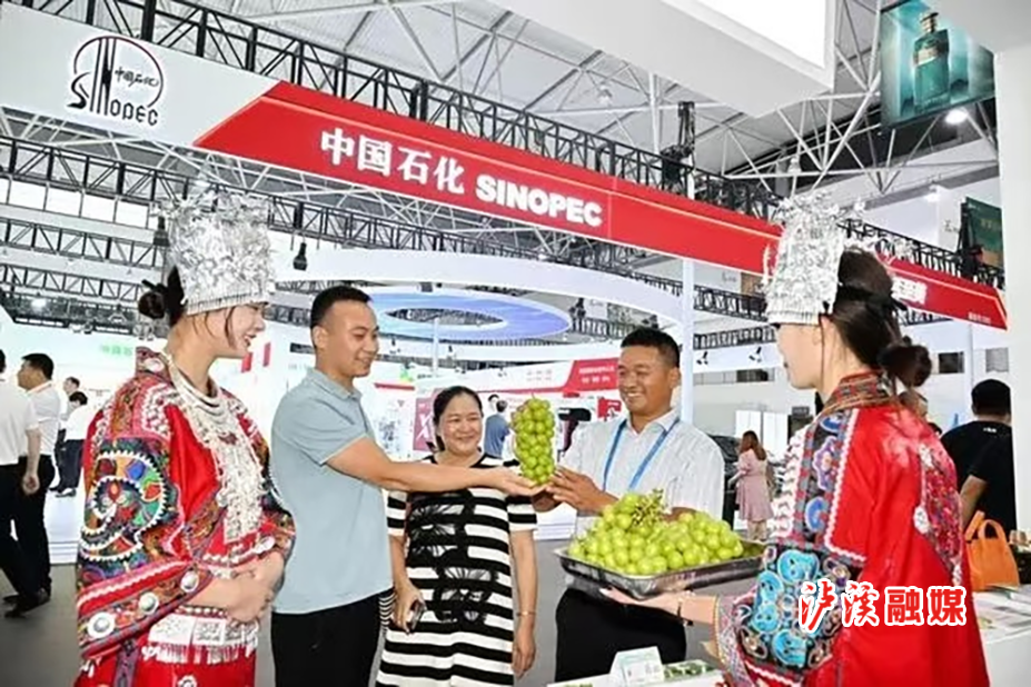 图片16.png 图片16.png