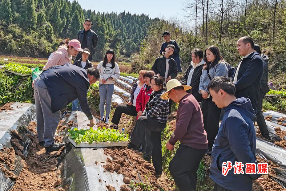 石榴坪乡烟稻连作移栽培训，修改.jpg