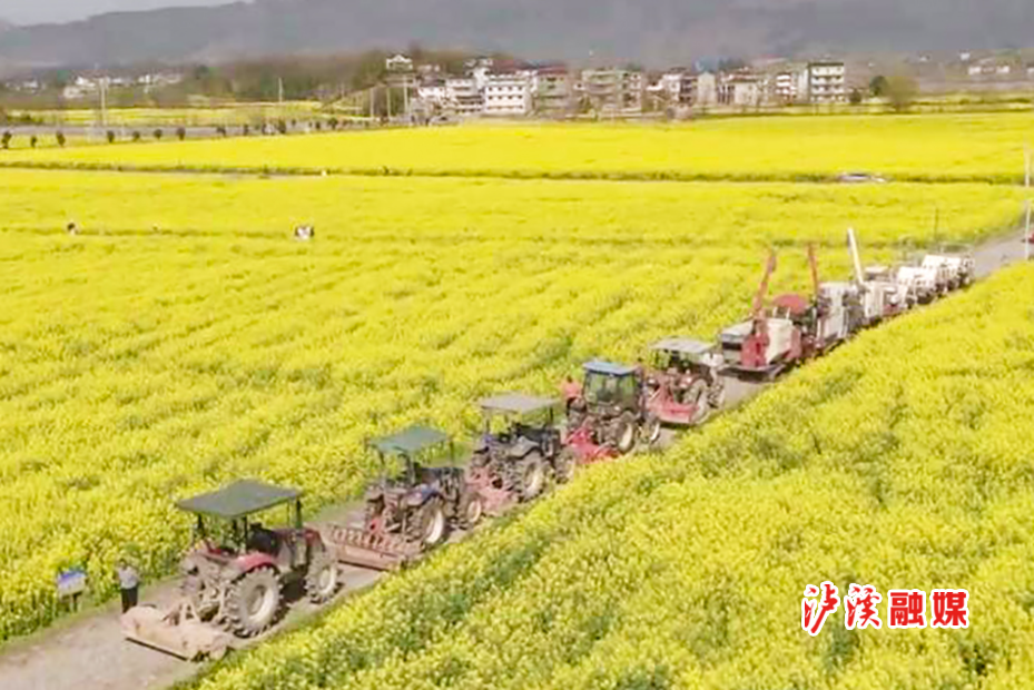 青草.jpg3.jpg4.jpg