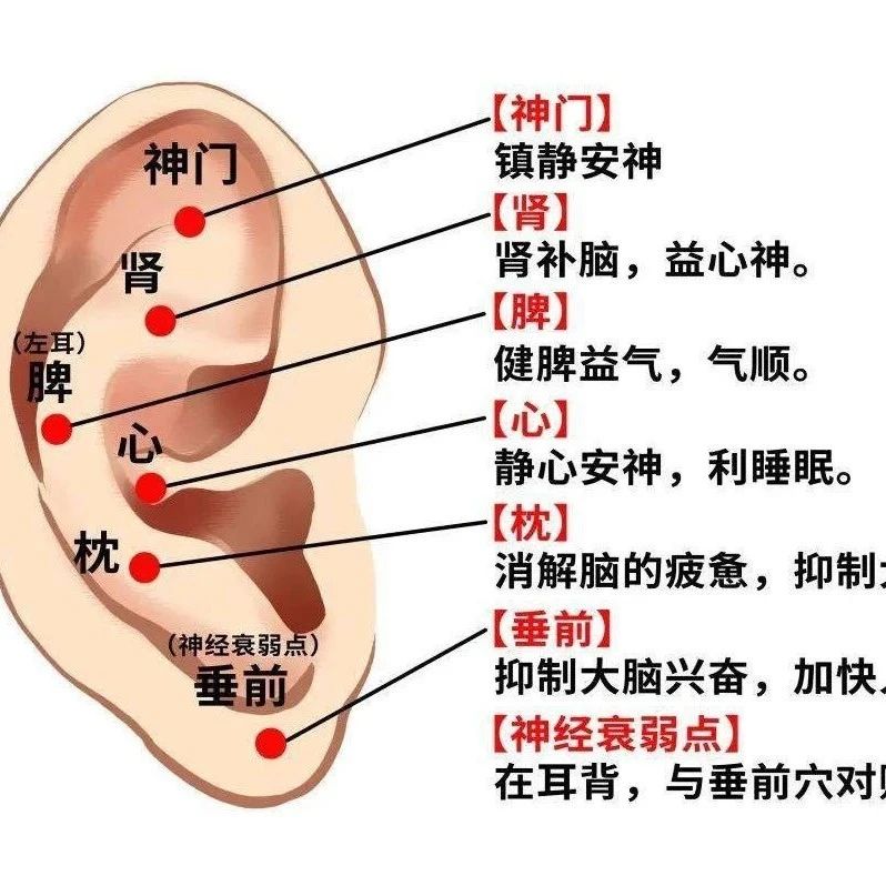 健康科普 | 睡不好的人速来→耳部刮痧，助您找回好睡眠