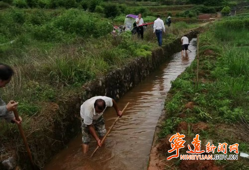 宁远县仁和镇：筑牢生态屏障 守护碧水清波_副本500.jpg