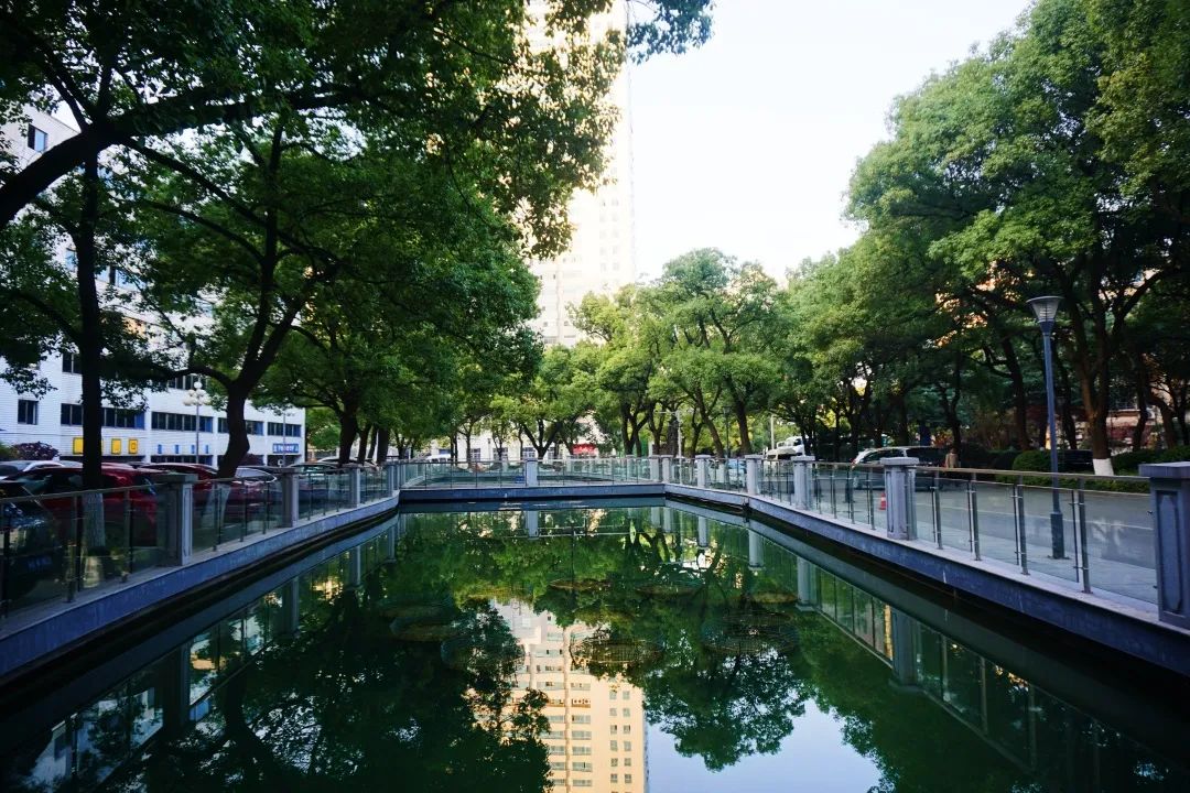 省政府机关二院戏水观澜拍摄者：陈岭.jpg