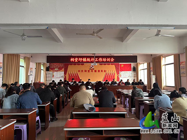 祠堂圩镇开展统计知识培训会.jpg