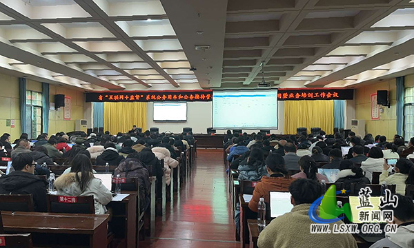 蓝山：“互联网+监督”助力规范公务活动.jpg