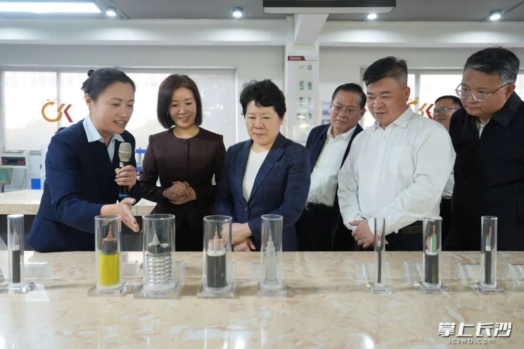 湖南金龙科技集团有限公司调研现场。