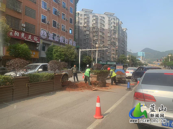 蓝山县城市管理和综合执法局紧急行动消除道路安全隐患.jpg