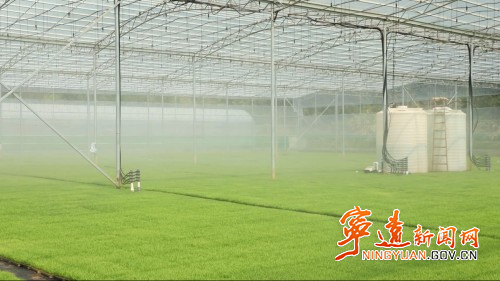 宁远桐木漯瑶族乡：全面机械化  助力农业现代化提速1_副本500.jpg