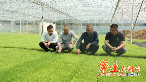 宁远桐木漯瑶族乡：全面机械化  助力农业现代化提速2_副本500.jpg