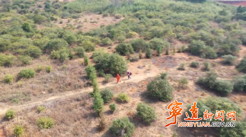 宁远：多措并举 筑牢森林防火“安全网”3_副本500.jpg