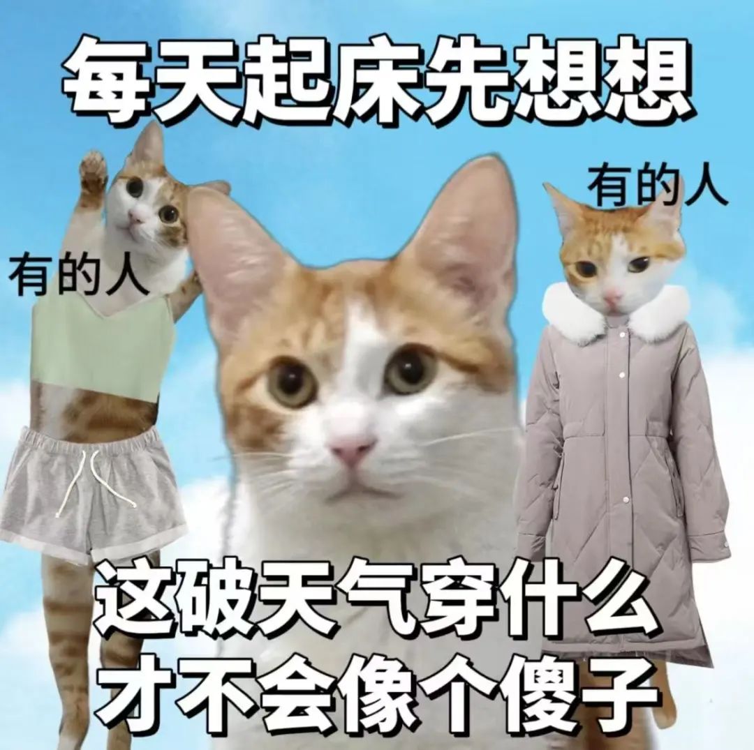 微信图片_20250327094319.jpg