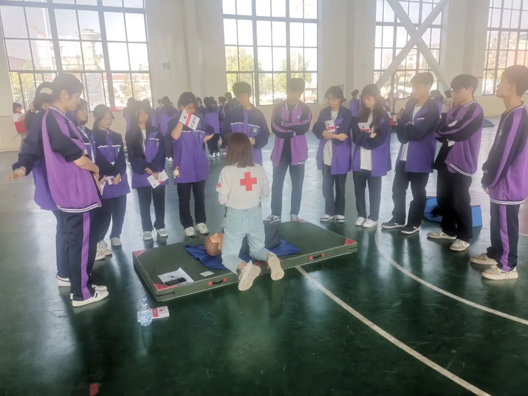 图片五.jpg