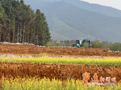 宁远水市镇： 科技助力春耕“加速度”_副本500.jpg