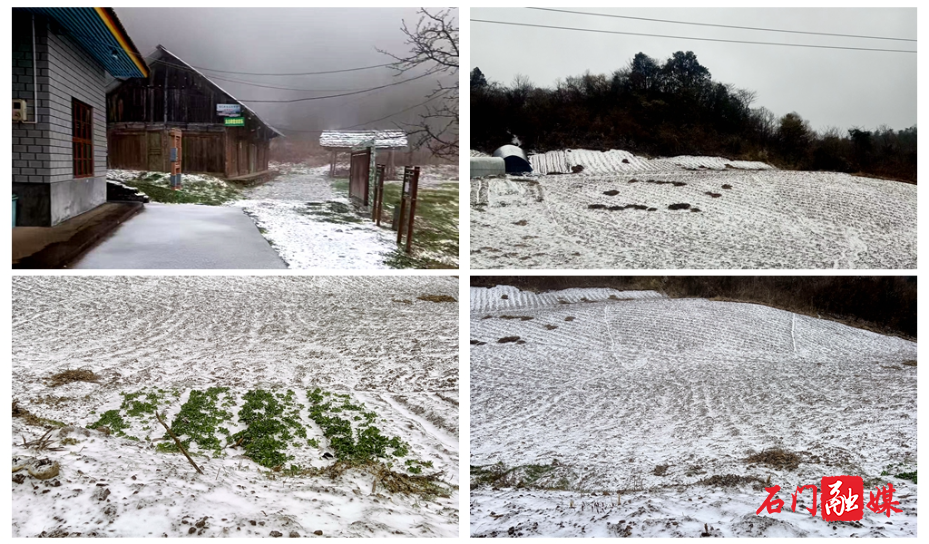 今天,石门这里下 ! 雪 ! 啦!(拼图).jpg 今天,石门这里下 ! 雪 ! 啦!(拼图).jpg