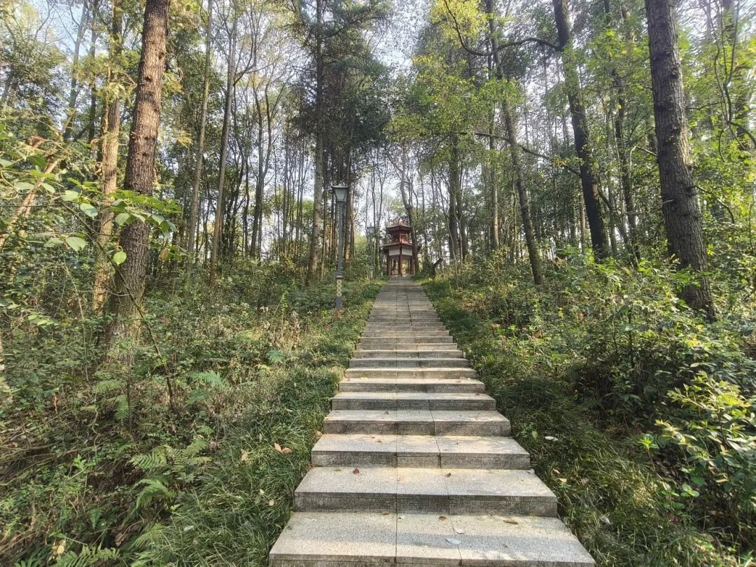 画眉山.jpg