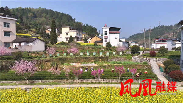 Still0328_00075.jpg Still0328_00075.jpg