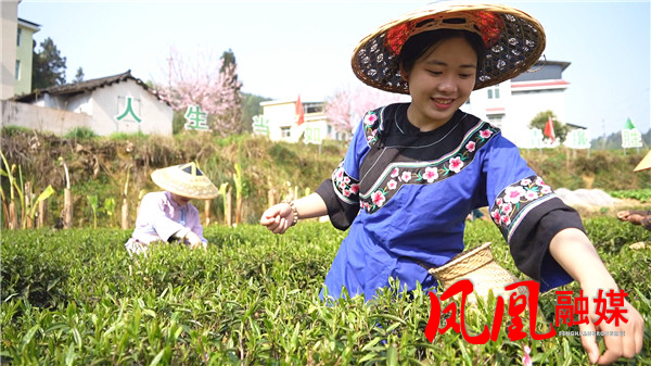 Still0328_00065.jpg Still0328_00065.jpg