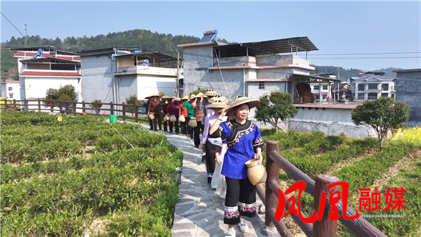 Still0328_00072.jpg Still0328_00072.jpg