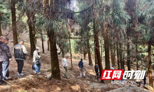 图片3.png 图片3.png