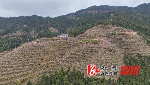 QQ_1743497070077.png