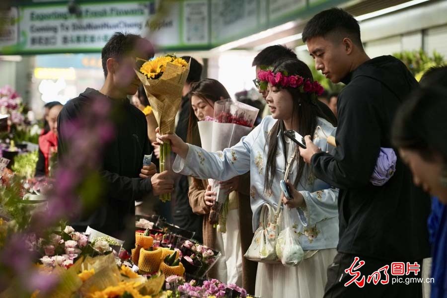 【发现最美铁路】“钢铁花路”护航云花绽放 日均4.5吨鲜切花乘“快车”香溢全球