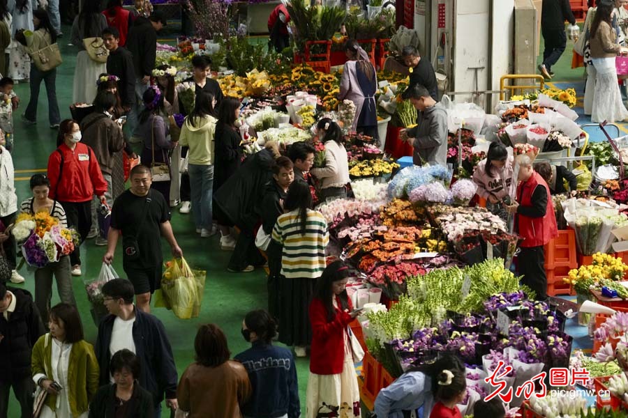 【发现最美铁路】“钢铁花路”护航云花绽放 日均4.5吨鲜切花乘“快车”香溢全球