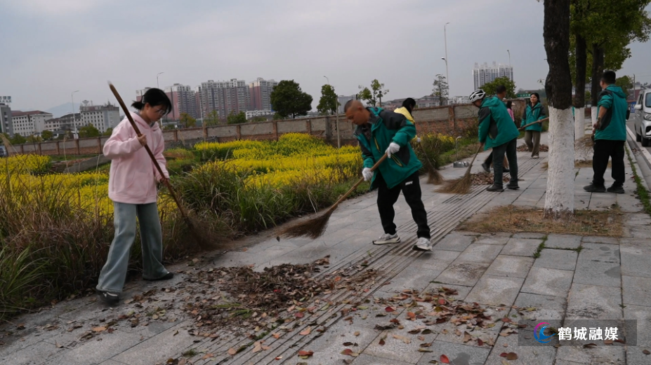 全员出动！环卫力量助力城市“落叶会战”.mp4_000015.582.png