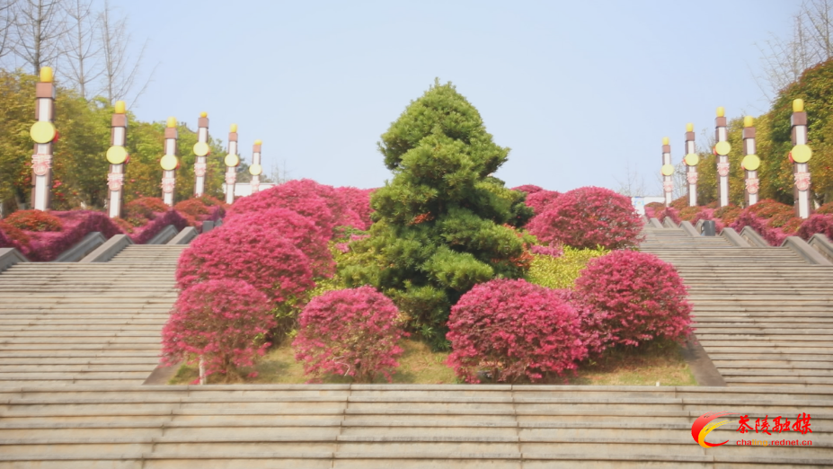 Still0402_00000_副本.png